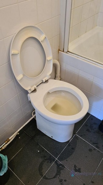  verstopping toilet Delft